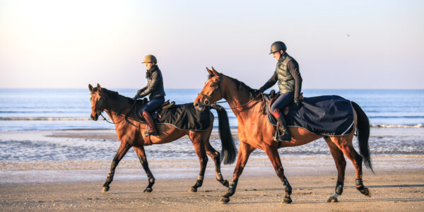 Deauville,,France,-,December,29,,2016,:,A,Group,Of Deauville,,France,-,December,29,,2016,:,A,Group,Of